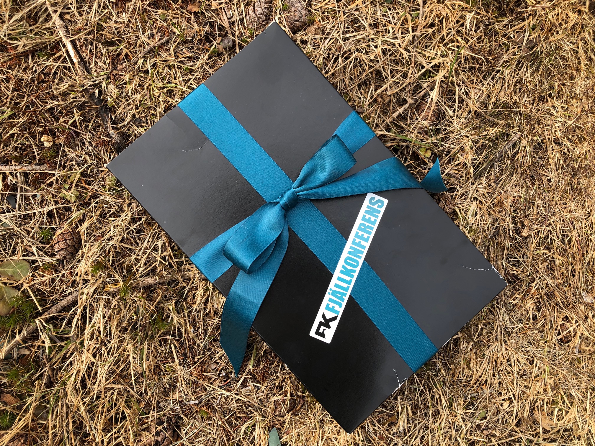 <p>Med en hjälpande hand i fjällen är det lättare att få en lyckad konferens och konferensresa. Det bästa av allt är att du spar mycket tid.</p>