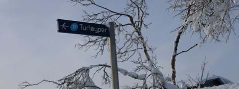 Längdskidåkning Trysil