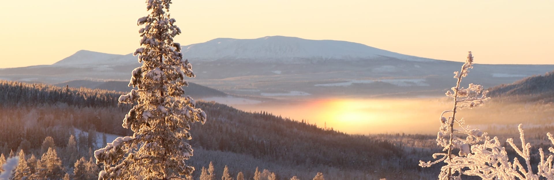 Stugkonferens Kickoff