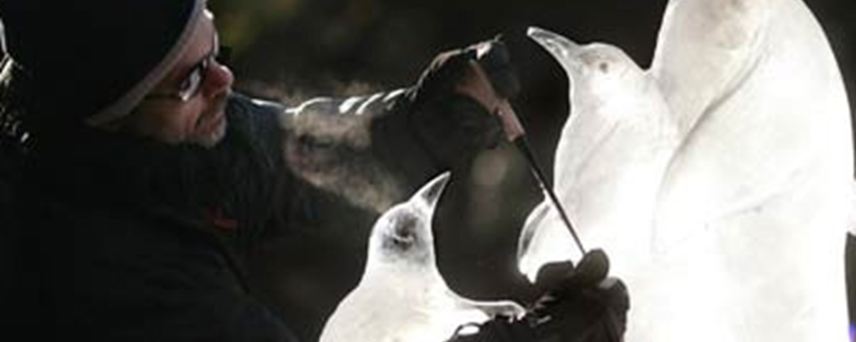 isskulptering-faglar