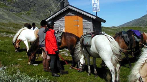 Hästäventyr