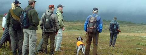 jaga-vemdalen.jpg
