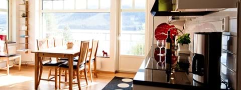 thomassonsgard-lagenhet-kok-konferensboende-are