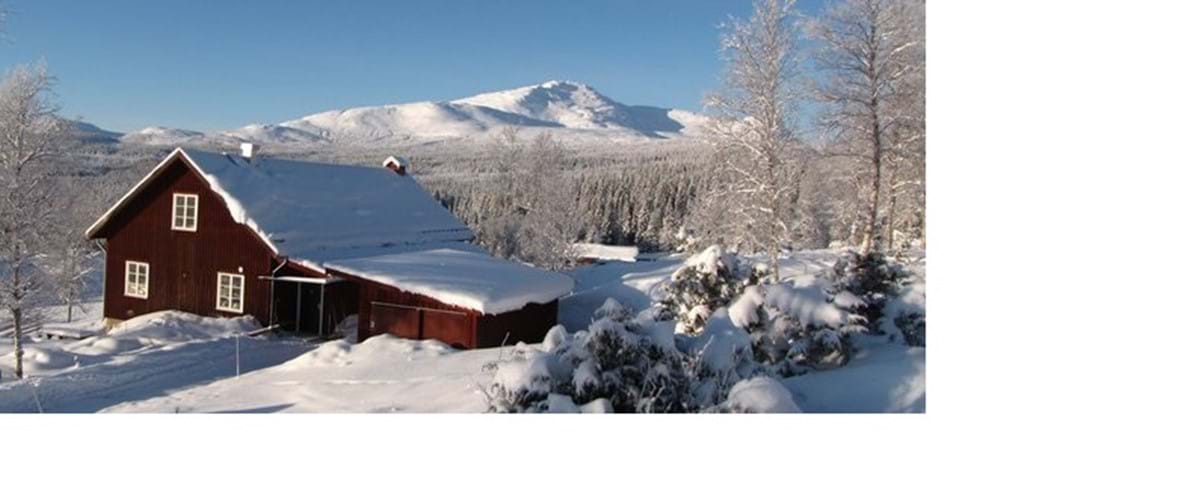 bergstugan-restaurang-froagruva-åre
