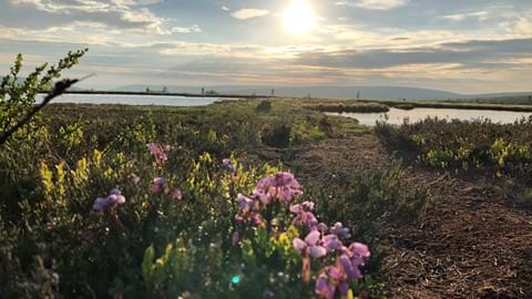 Vandra i fjällen