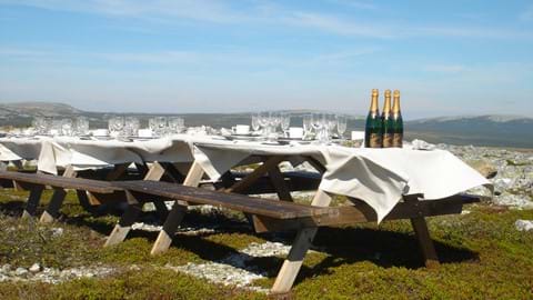 <p>Åre är välkänt för sitt stora och utbud av riktigt bra restauranger, i den lilla byn finns hela 12 ställen som är omnämnda i White Guide.</p>