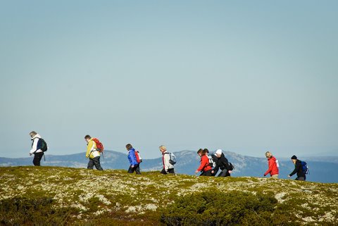 <p>Här får du smakprov av Trysils utbud, inspireras av paketförslagen. Vi anpassar sen er resa och upplägg till era önskemål och behov.</p>