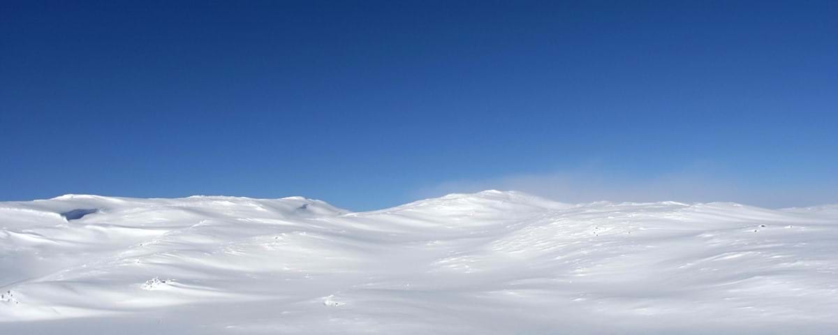 Skoter 5 (jpeg).JPG