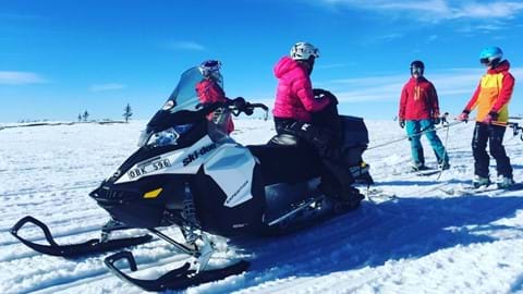 Tolka på skidor