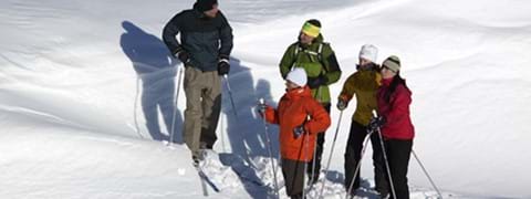 tur-skidor-salen