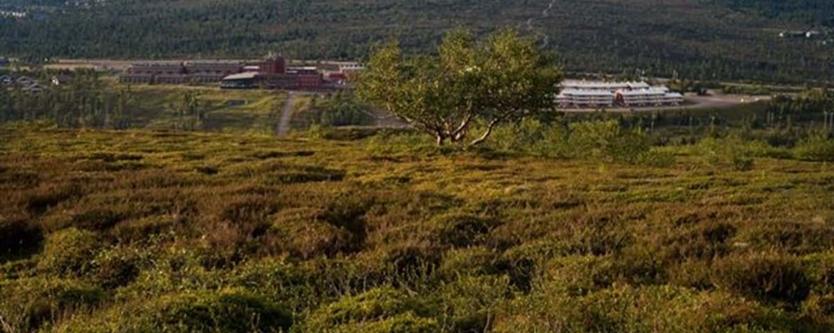 barmark-hogis-salen-vy.jpg