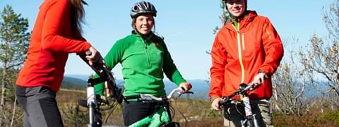 Mountain bike.jpg