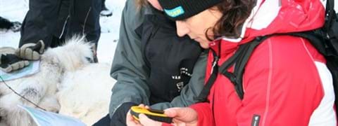 Skattjakt-gps-vinter.jpg