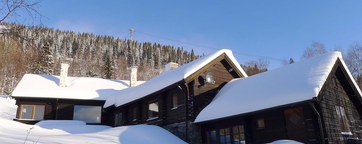 Are Skutan Ski Lodge extriör