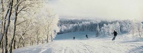 trillevallenshogfjallshotell-skidakning-konferensaktivitet-are